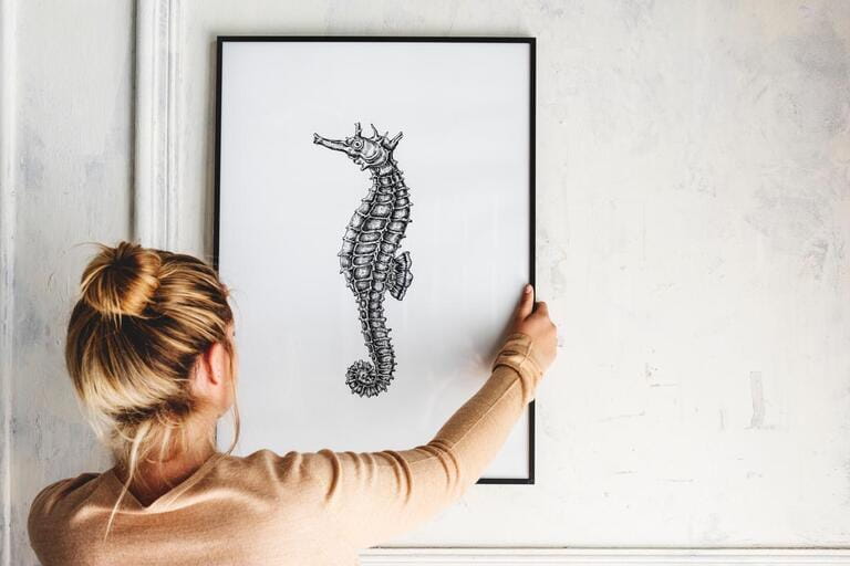Hand drawn image of seahorse hanging on the wall Hand drawn image of seahorse hanging on the wall